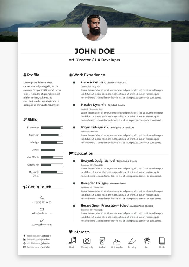 Resume Theme 3