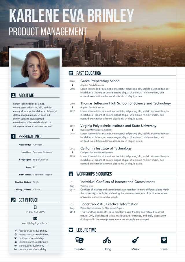 Resume Theme 4
